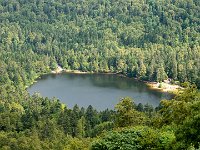 150723 11-13 P1460201