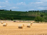 170723 11-04 P1460229