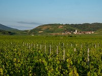 180723 06-48 P1460308