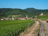 180723 08-33 P1460317