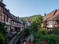 180723 08-57 P1460327