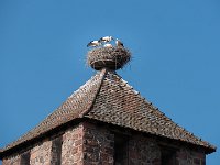 180723 09-11 P1460339