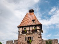 190723 16-15 P1460483