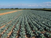 190723 18-23 P1460501