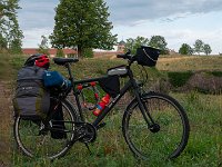 Mon fidèle destrier