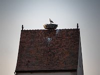 220723 20-39 P1460782