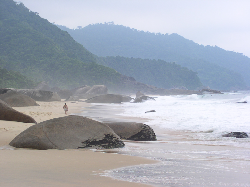 P3113695.jpg - OLYMPUS DIGITAL CAMERA