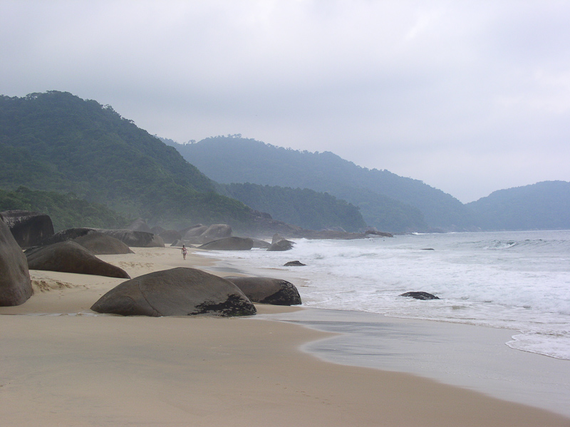 P3113698.jpg - OLYMPUS DIGITAL CAMERA