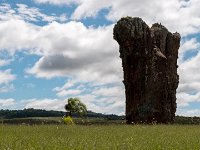 Vila Vehla,pousse minérale