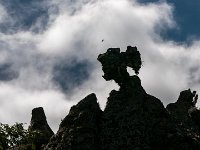 Vila Vehlha, silouette