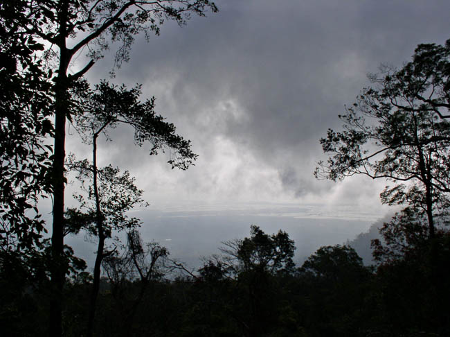 P1180573.jpg