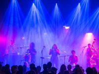 Pulciperla : Auvergne-Rhône-Alpes, FRA, France, Mens