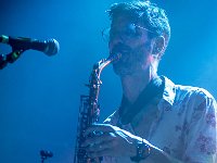 Papanosh : Tu danses-tu ? : Auvergne-Rhône-Alpes, FRA, France, Mens