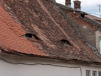 Les yeux de Sibiu