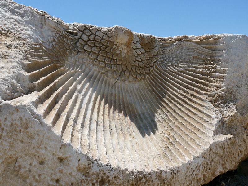 P1000720.jpg - PWC Denizli