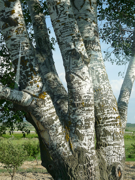 P1000897.jpg - PWC Denizli