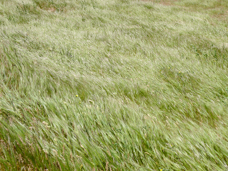 P1010038.jpg - PWC Denizli