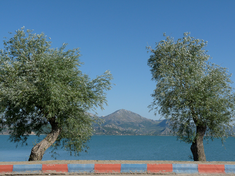 P1010223.jpg - PWC Denizli