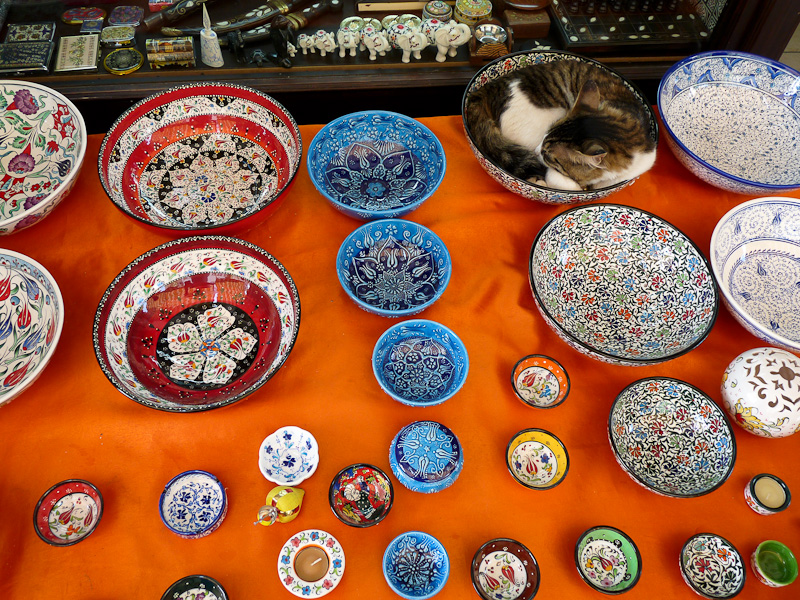 P1010467.jpg - PWC Denizli