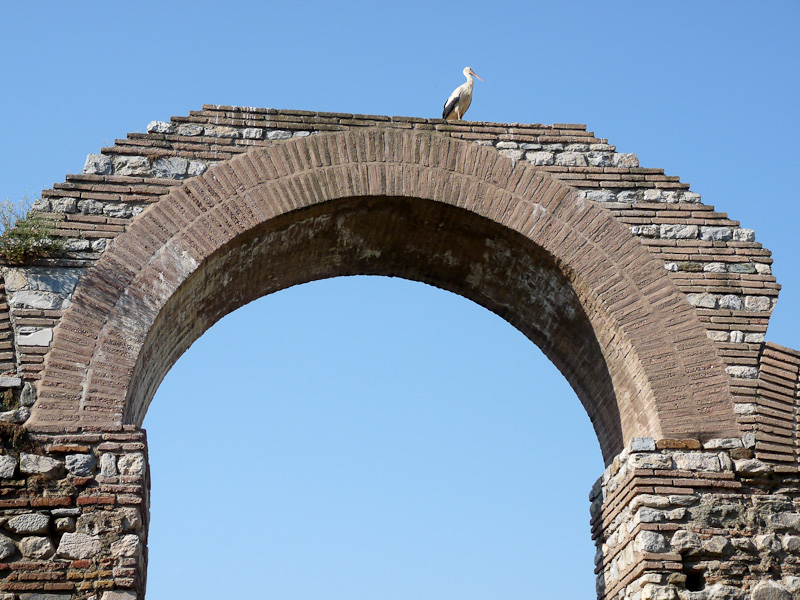 P1010468.jpg - PWC Denizli