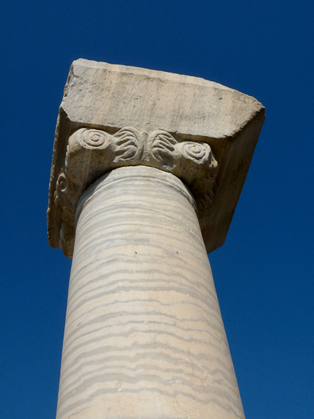 P1010478.jpg - PWC Denizli