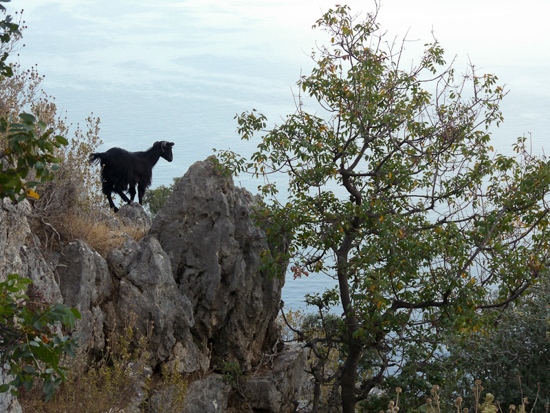 P1070654.jpg - Voie Lycienne