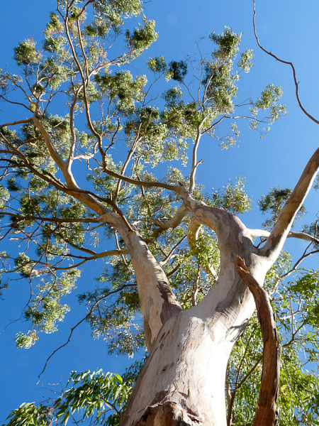 P1070809.jpg - Voie Lycienne