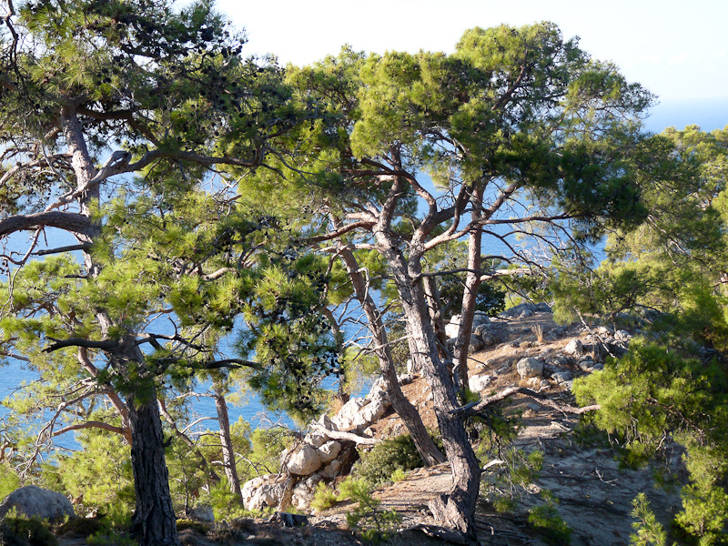 P1080078.jpg - Voie Lycienne