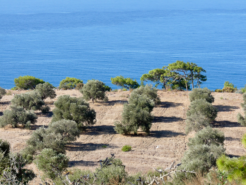 P1080208.jpg - Voie Lycienne