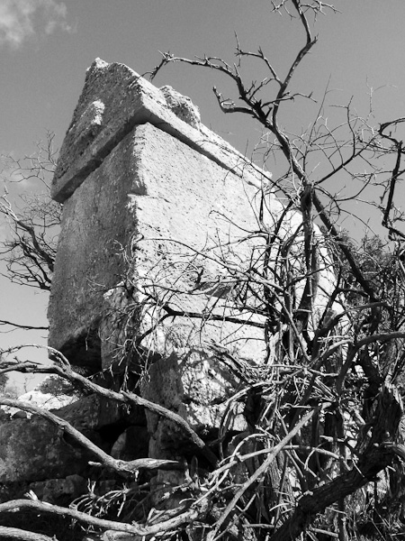 P1080530.jpg - Voie Lycienne