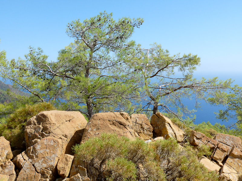 P1090315.jpg - Voie Lycienne