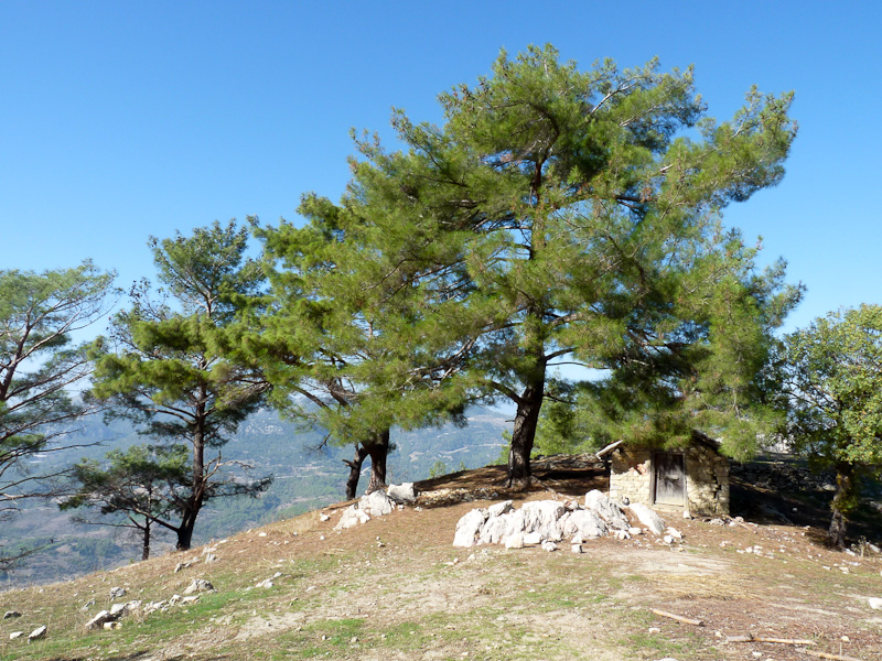 P1090363.jpg - Voie Lycienne