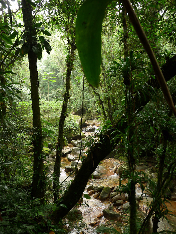 P1050037.jpg - PWC Brésil