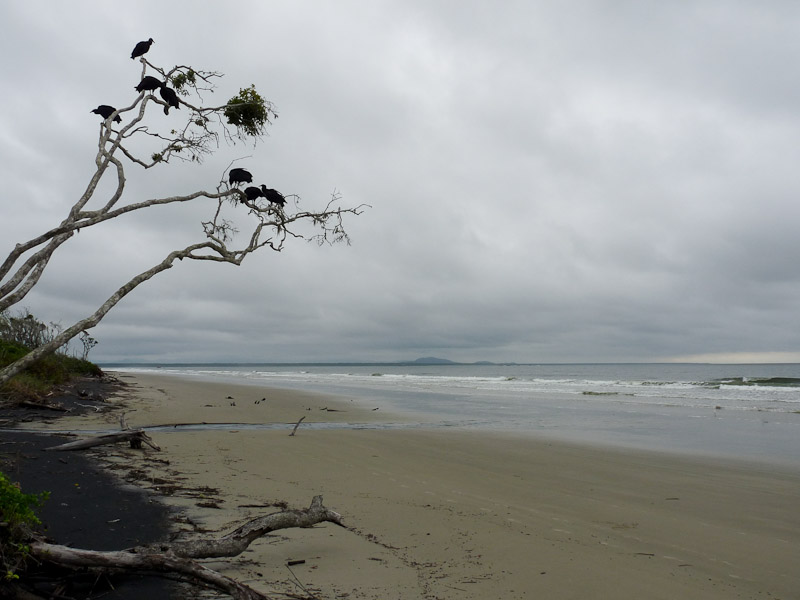 P1050203.jpg - PWC Brésil