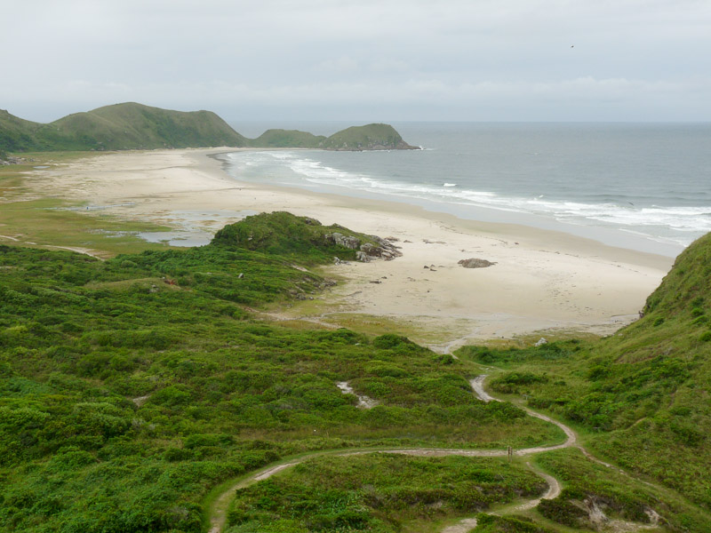 P1050312.jpg - PWC Brésil